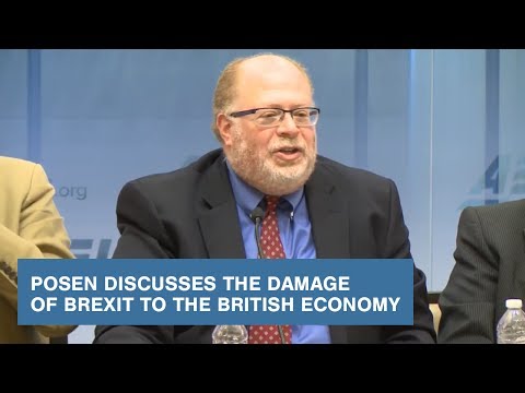 Posen Discusses the Damage of Brexit to the British Economy