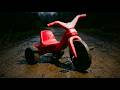 Vanished in 5 Minutes. The Dogs Stopped at the Tricycle