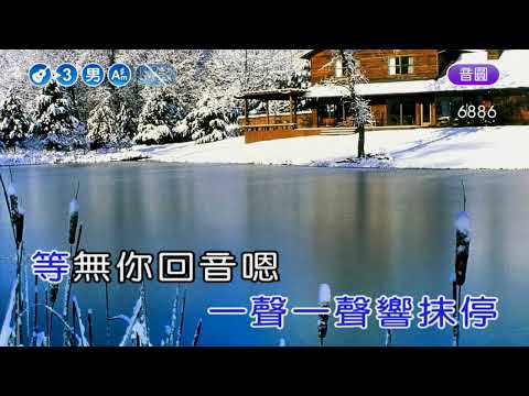 CALL IN 你的心~林晏如~男Am井調~伴奏~導唱甲