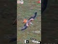 animal photography #trending #birds #viral #animals #shorts #short #ssm
