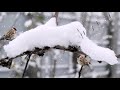 Супер песня... Мне б согреться улыбкой твоей...