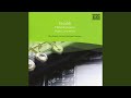Capture de la vidéo Flute Concerto In F Major, Rv 99: Ii. Largo
