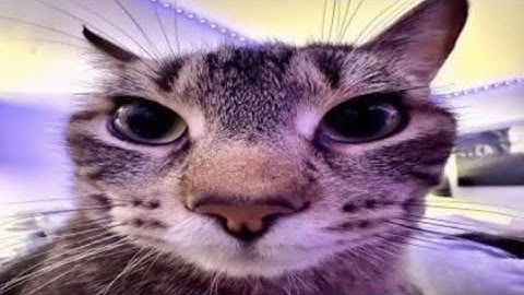 TPOT 14 reanimated scene//part 110// @boyanimates. #boyanimatesTPOT14