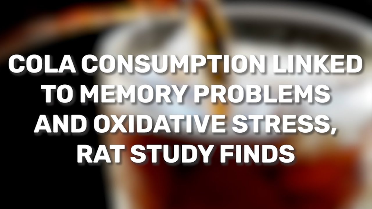 Cola Linked To Memory Problems In Rat Study - YouTube