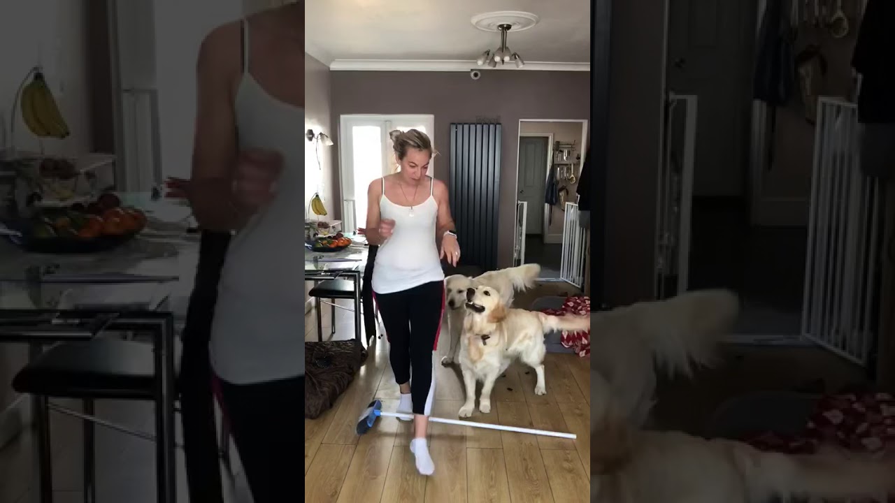 Puppy scared of broom