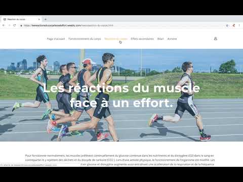 Mode d'emploi du site