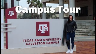 Texas a&m university galveston campus tour