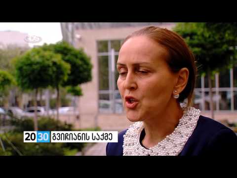 გვიჩიანის საქმე  /2030 (03.05.2016.)/