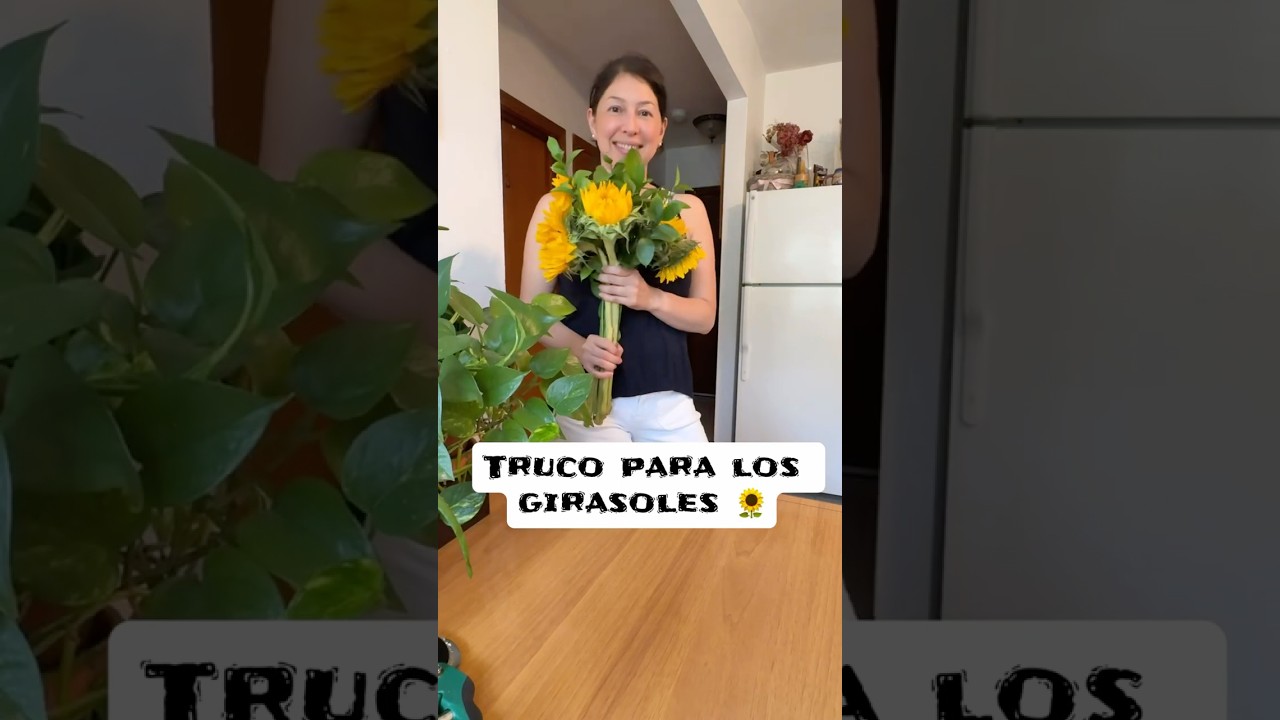 Truco para que tus girasoles duren más! 🌻