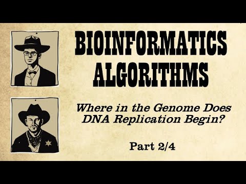 The Search for Hidden Messages in the Replication Origin (Part 2)