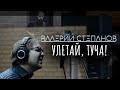 Валерий Степанов – Улетай, туча!