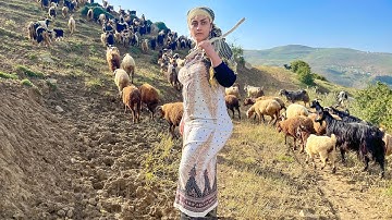 IRAN nomadic life | daily routine village life of Iran | Nomadic lifestyle of Iran