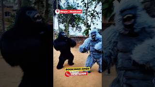 Gorilla 🦍 Booking Now 30%off limited time offer 🫴#viral #trending #sound #shorts #gorilla