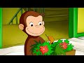 Fang die Schlange! | Coco der Neugierige | Cartoons für Kinder