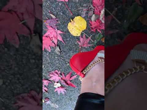 Red stiletto heels red leaves