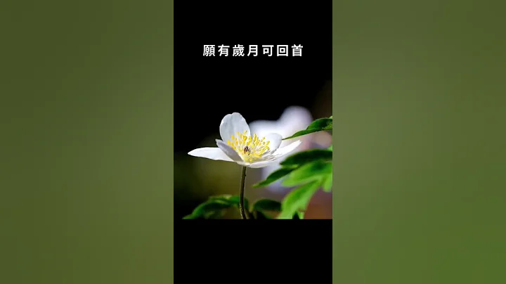 詩詞歌賦 - 天天要聞