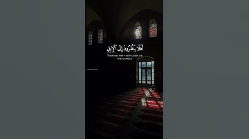 أَفَلَا يَنظُرُونَ إِلَى الْإِبِلِ كَيْفَ خُلِقَتْ / عبد الرحمن مسعد / سورة الغاشية [17-21] #قرآن