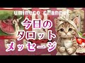 【5月6日】水面下でうごく日 流れに飲まれず足元をしっかりと 止まっていた流れは動きだす🌟しあわせになる力を引きだすタロットセラピー