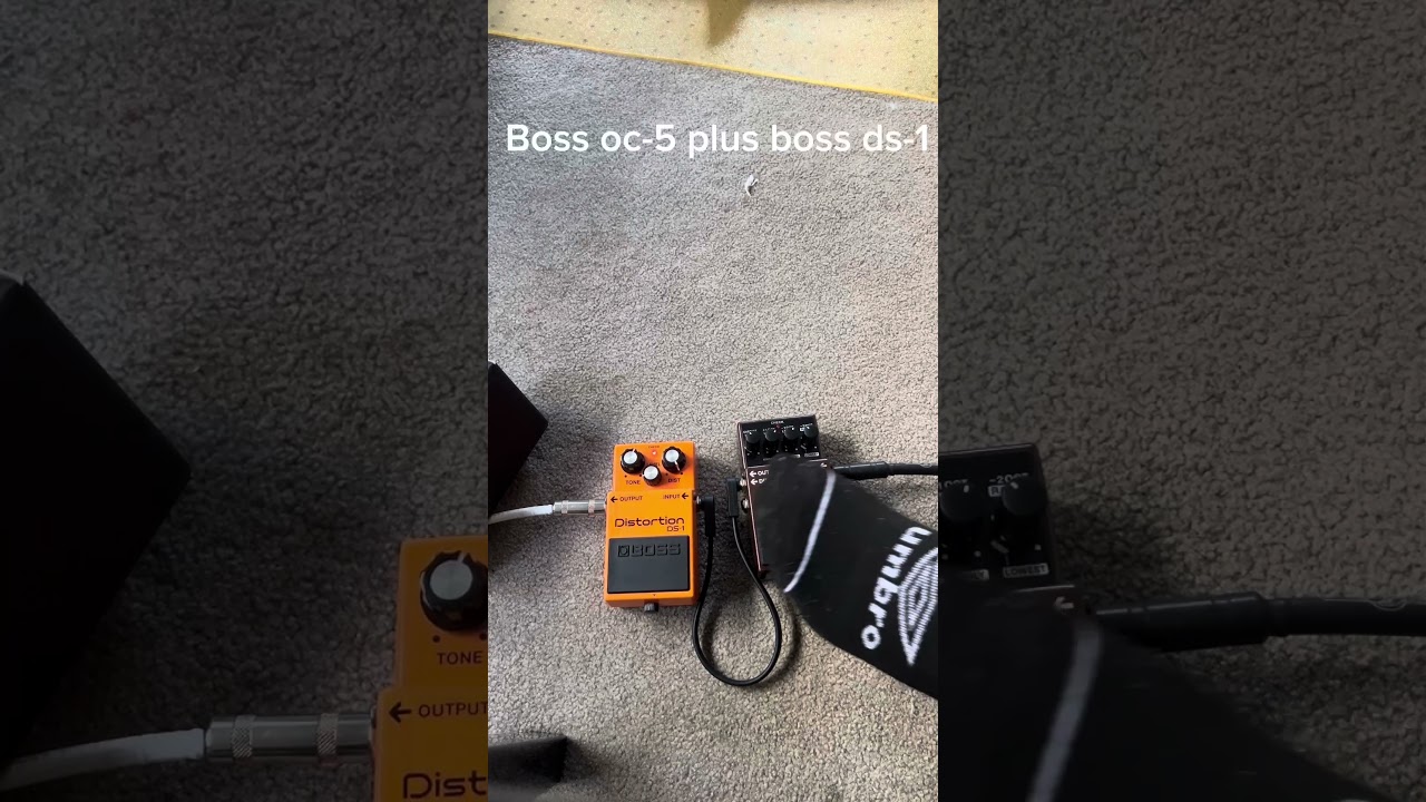 Israel’s son with boss-ds1 plus boss oc-5 
