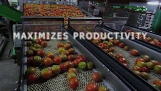 Vizier Systems Sorting Solutions