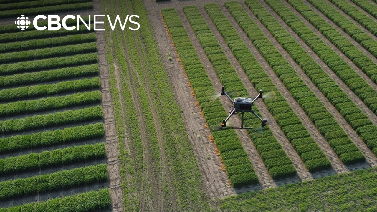 AI-Driven Digital Agriculture for Precision Farming