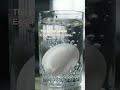 The Unbreakable Egg Trick Revealed