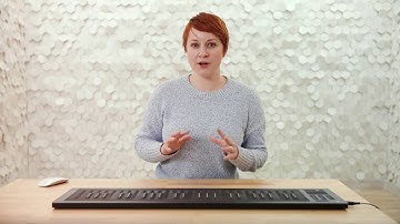 An Introduction to the Seaboard RISE  3 1   Signal Flow