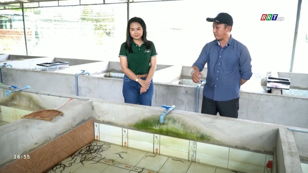 Nhà nông hội nhập 23/1/2024 | Mô hình nuôi lươn không giá thể | BRT TV