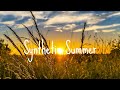 Synthetic Summer - Short Song By Doomsday