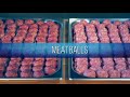 SHOCK &amp; AEF freezing by ABAT - MEAT, READY-TO-COOK PRODUCTS