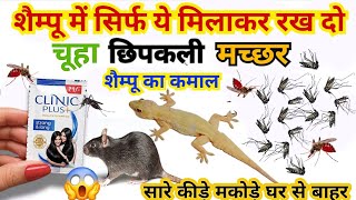 शैम्पू में सिर्फ 1 चीज डालते ही घर में 10 साल तक एक भी मच्छर नहीं आएंगे / machhar bhagane Ka Tarika