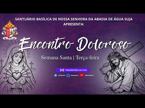 Abrir Vídeo
