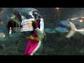 寺泊水族館えさやり2017年 の動画、YouTube動画。