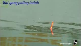 story wa kumbul ngetriiik