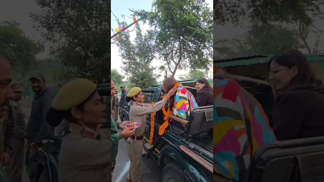 Sitabani Zone Open | Jim Corbett National Park Safari 2025