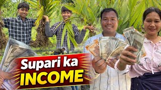 First Earnings from Arecanut Nursery | Youtube vs Farming earnings