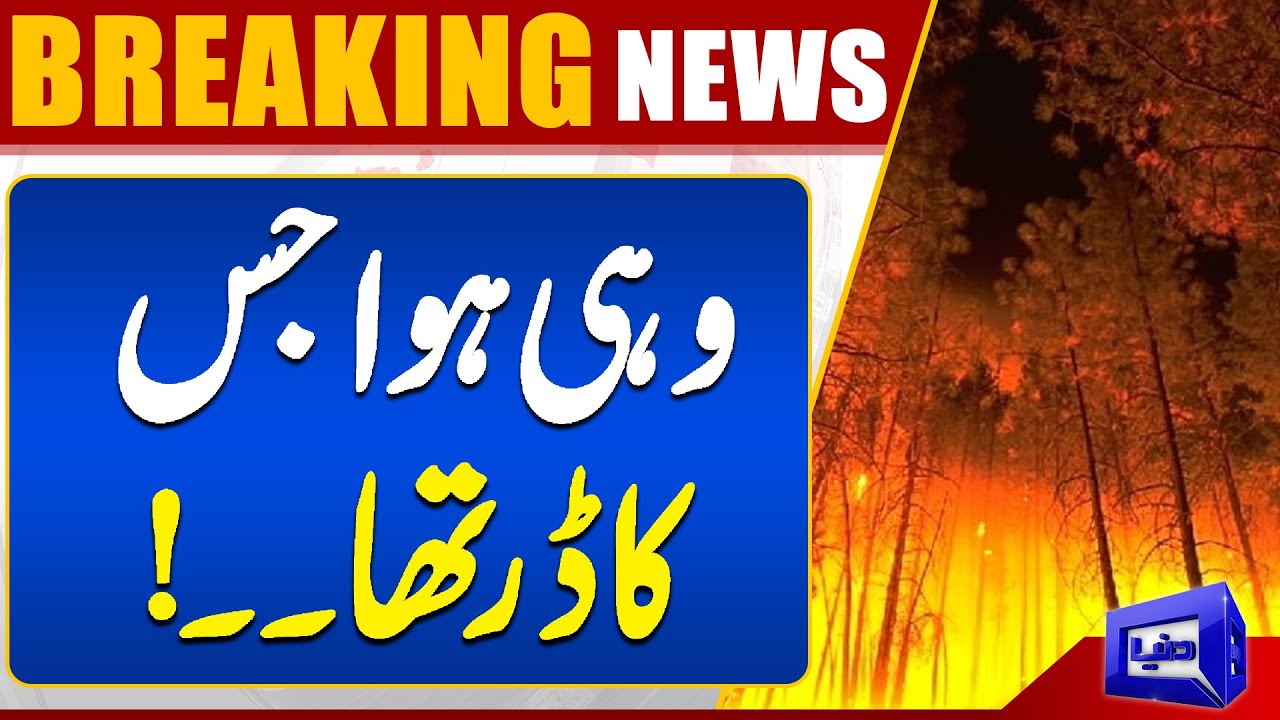 Concerns Over Tree Cutting | News Report | Dunya News