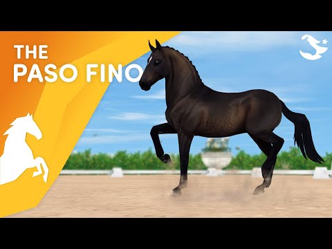 Meet the Paso Fino! ??? | Star Stable Horses