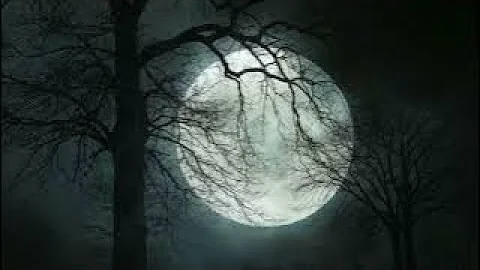 Forest Full Moon Night Sounds Wolf Owl Crickets Nature Ambience Sleep ASMR Meditation Healing