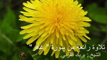تلاوة رائعة من سورة { غافر }، الشيخ : بريك القرني.