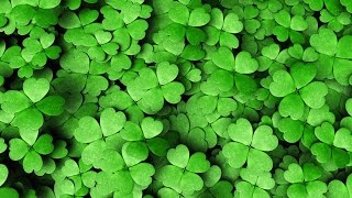 A deeper look into St. Patrick's Day HD video Image of A deeper look into St. Patrick's Day HD video