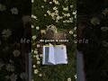 Manu Chao Ma Gutas Tú Aestheticstatus Aesthetic Lyrics Song Edit Manu Chao Ma Gutas Tú Aestheticstatus Aesthetic Lyrics Song Edit