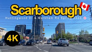 SCARBOROUGH'S HUNTINGWOOD DR  EAST & MARKHAM RD - SPRING 2025 BLOOMS SCENIC DRIVE | 4K UHD