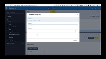 SAP Hybris MasterClass - Apache Solr Stop Words