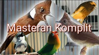 Download Lagu KOMBINASI MASTERAN BURUNG FUL 2JAM SUARA JERNIH MP3