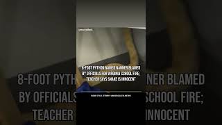 Datos 8-foot python named Nanner blamed by officials for Virginia school fire; teacher says snake #Shorts Noticias