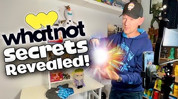 Secrets Revealed: Behind The Scenes Of A UK WhatNot Reseller