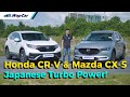 2021 Honda CR-V vs Mazda CX-5 Turbo SUV Comparison Review, Family Should Buy Which? | WapCar