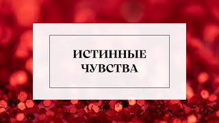 ЧУВСТВА МУЖЧИНЫ К ВАМ ПРАВДОПОДОБНО