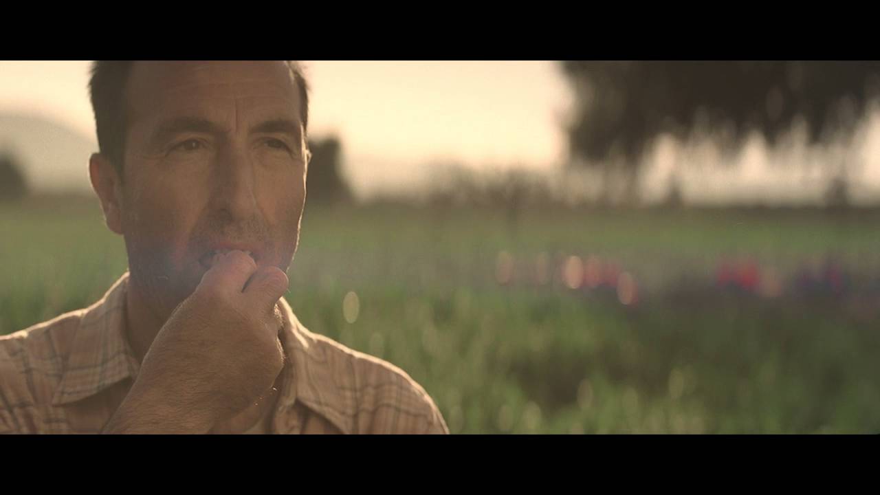 spot Findus pisellini 2016